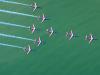 Formation Cygne