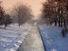 Paysage d'hiver