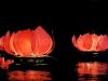Lanterne lotus