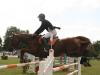 Flying horse