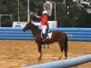 Horseball touche