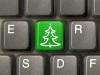 Touche arbre de Noël