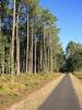 Landes : Ce ciel !