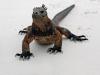 Reptiles : Dragon