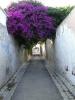 La Mitre : Une ruelle