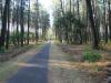 Landes : Chemin