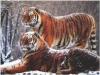 2tigres