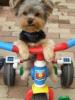 A bicyclette