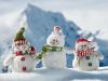 Les 3 compagnons de neige