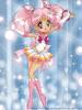 Sailor Chibi Moon