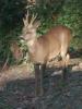 Visite surprise !