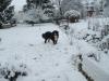 Doudou sous la neige