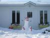 Neige pingouins