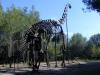 Dinosaure