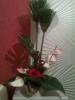 Art floral <ZEN>