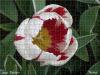 Effet puzzle