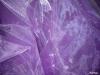 Organza