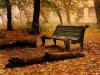 Otoño -4